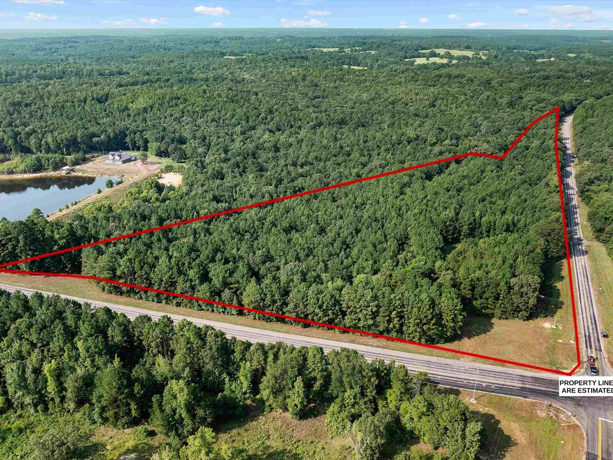 15779 State Hwy 154, Harleton, TX 75651 - Image #1