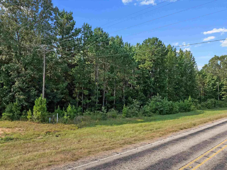 15779 State Hwy 154, Harleton, TX 75651 - Image #2