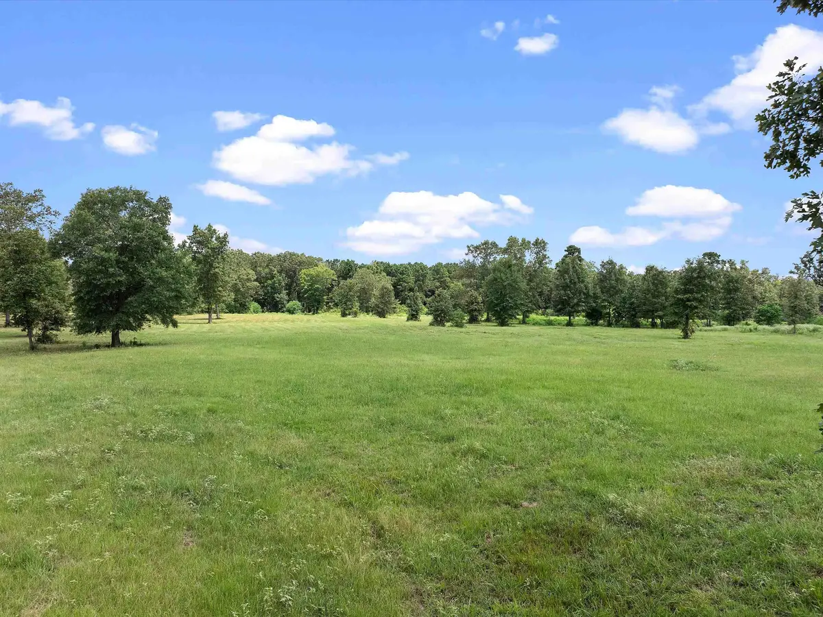 TBD CR 163, Long Branch, TX 75669 - Image #1