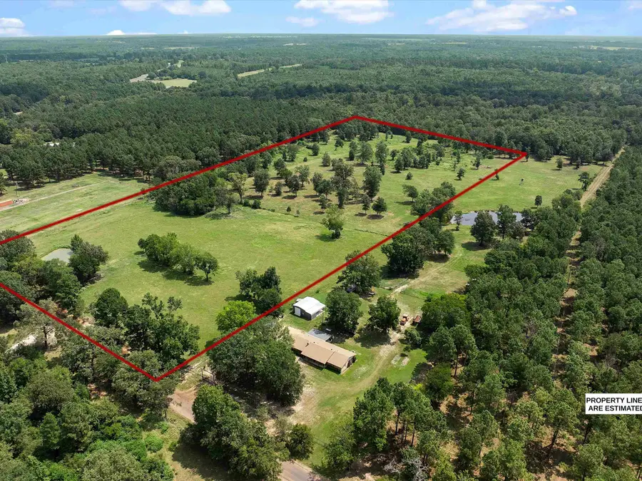 TBD CR 163, Long Branch, TX 75669 - Image #3