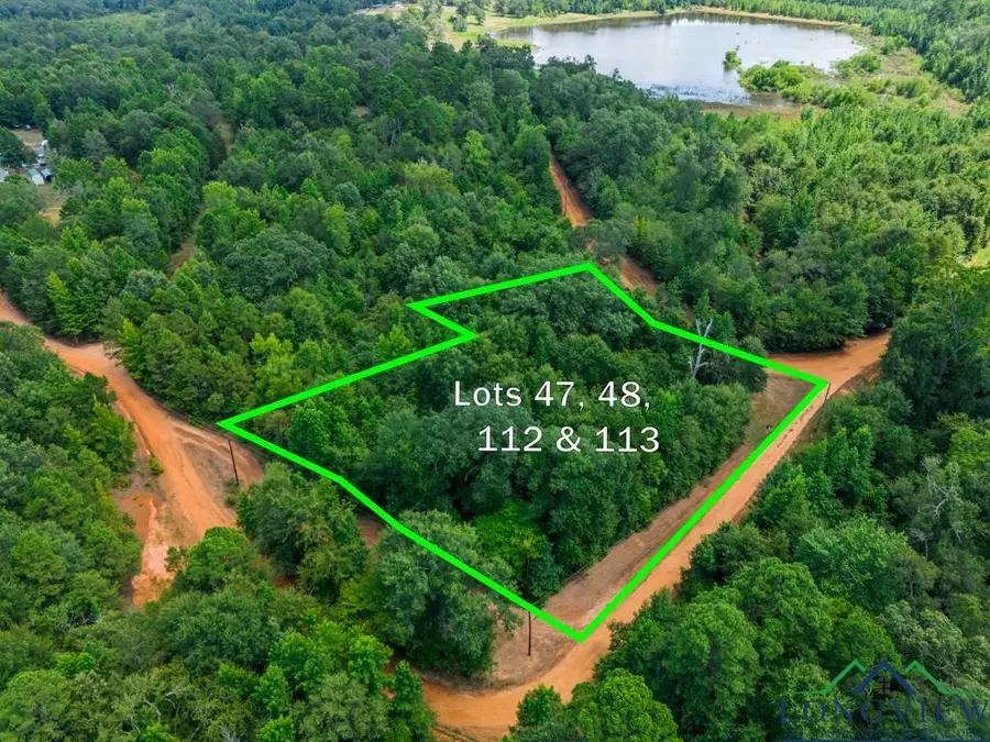 TBD Indian Mound Lake lot 47, 48 112, and 113, Hawkins, TX 75765 - Image #3