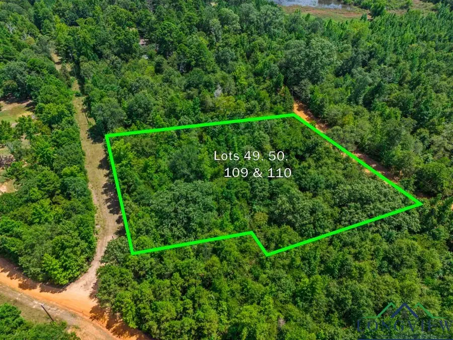 TBD Indian Mound Lake lots 49, 50, 109, and 110, Hawkins, TX 75765 - #3