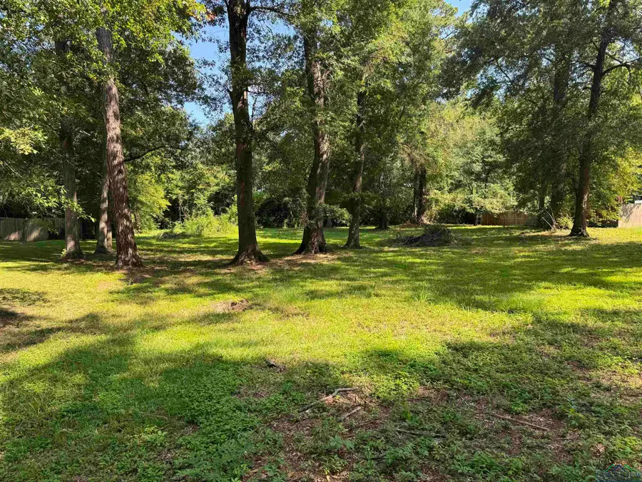 TBD County Road 492, Carthage, TX 75633 - Image #2