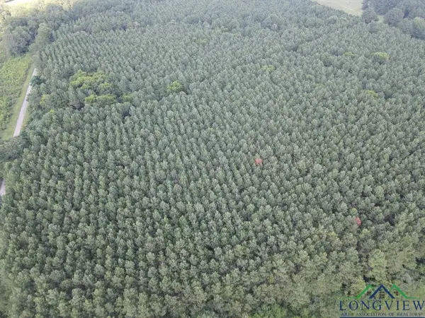 tbd FM 699, Tenaha, TX 75954