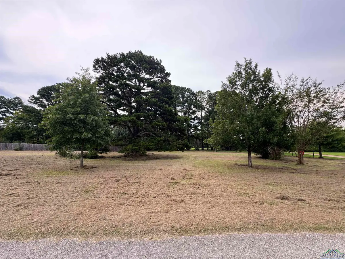 TBD County RD 307 D, Henderson, TX 75654 - Image #1