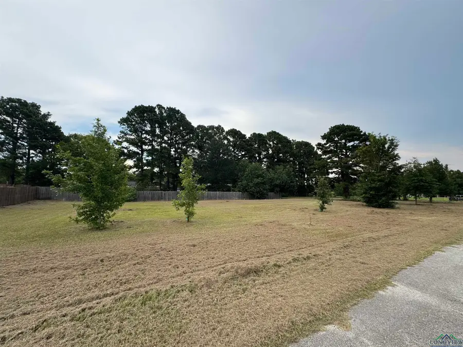 TBD County RD 307 D, Henderson, TX 75654 - Image #2