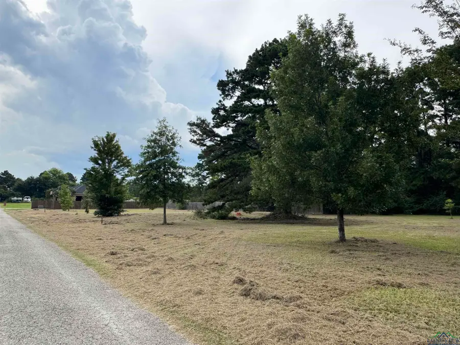TBD County RD 307 D, Henderson, TX 75654 - Image #3
