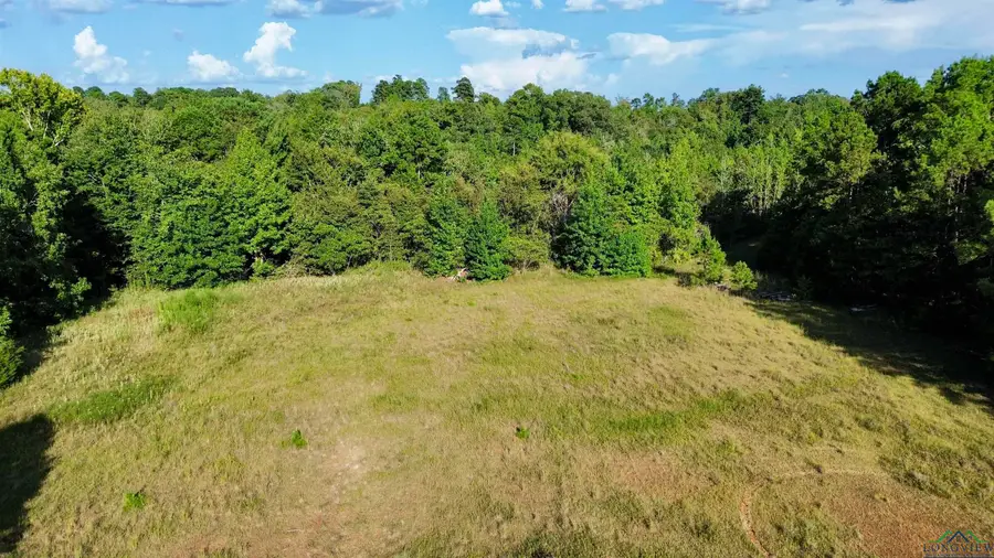 TBD Silver Spruce Rd, Gilmer, TX 75645 - #3