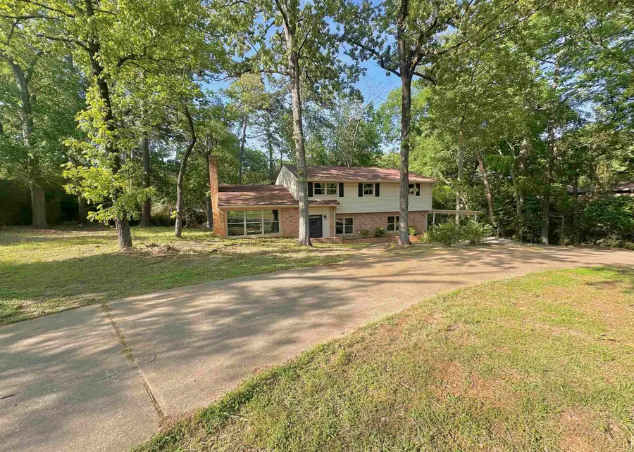 3517 Danville Drive, Kilgore, TX 75662 - Image #2