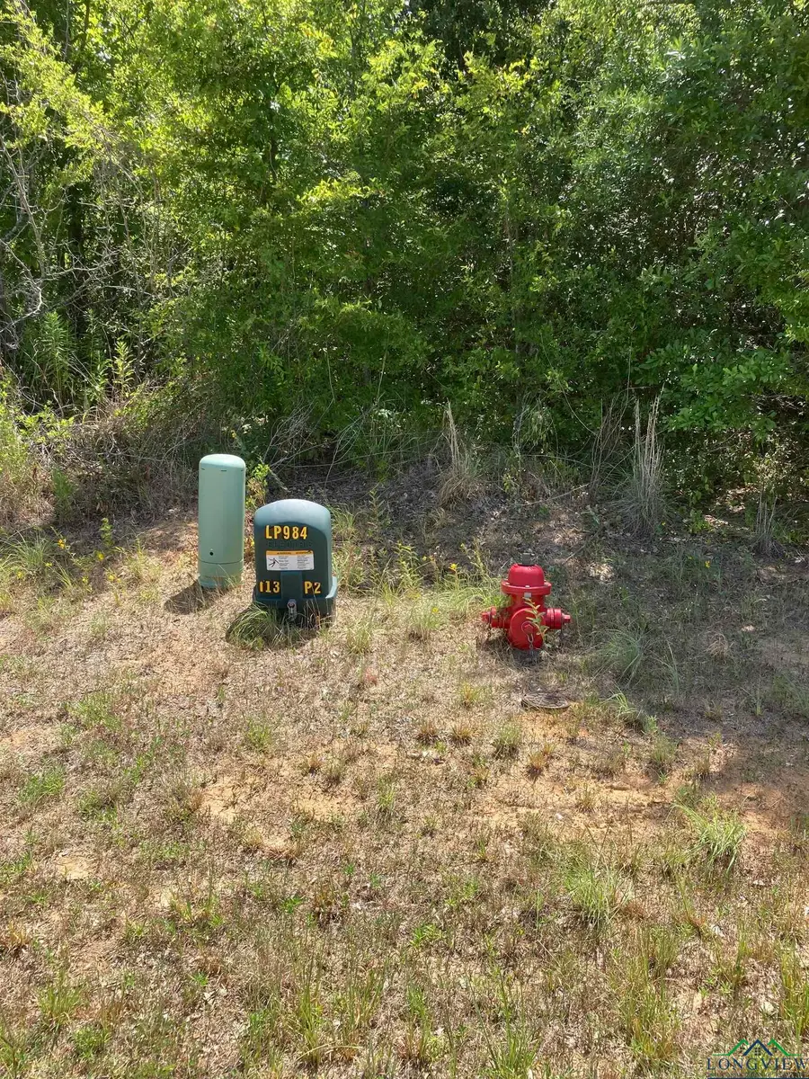 Lot 3 Kenswick, Henderson, TX 75654 - Image #3