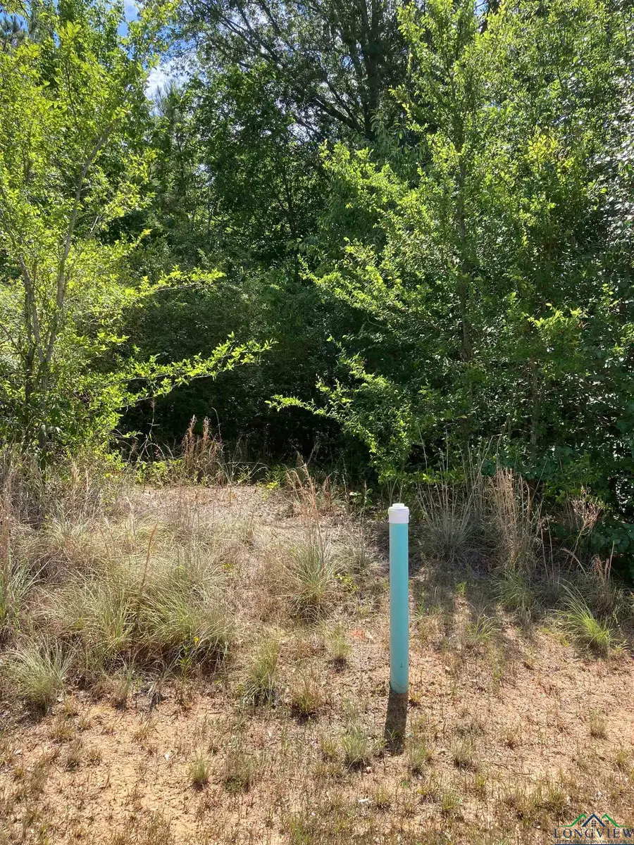 Lot 11 Meadowbriar, Henderson, TX 75654 - Image #3