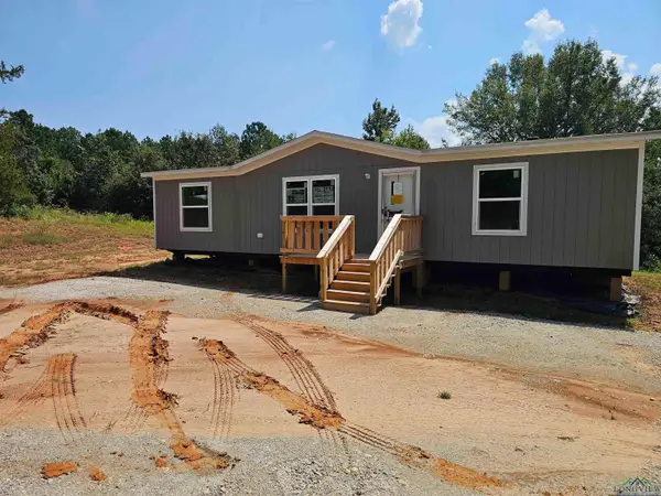 116 E Basil Dr, Diana, TX 75640