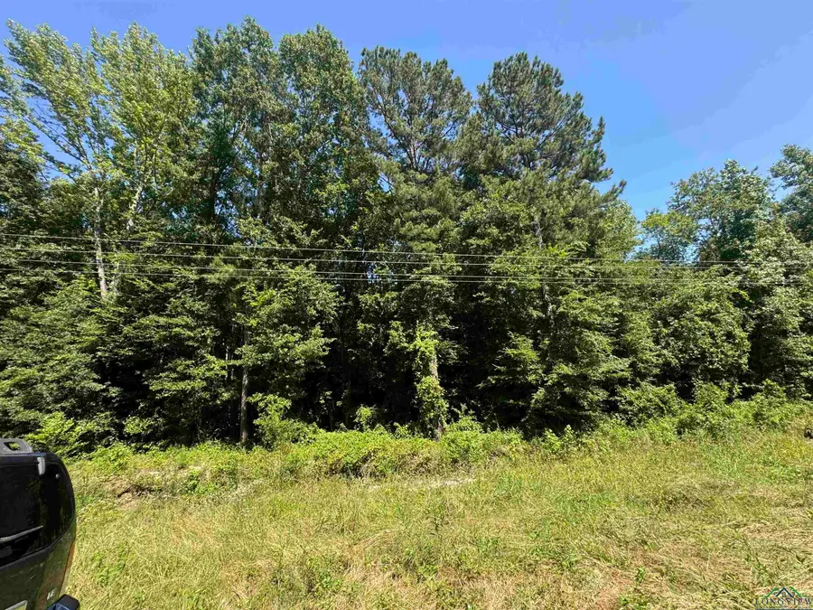 TBD FM 1968, Harleton, TX 75651 - Image #2