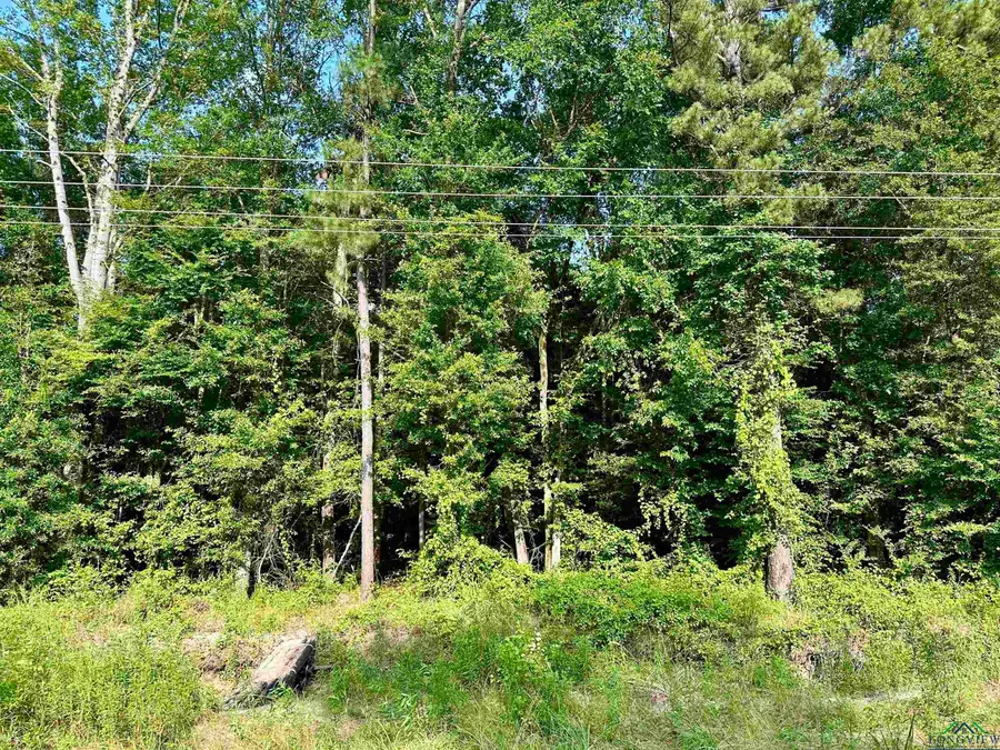 TBD FM 1968, Harleton, TX 75651 - Image #3