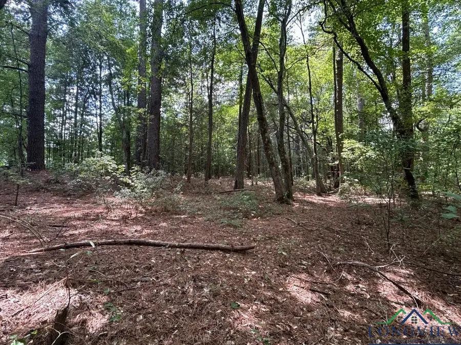3 ac TBD CR 3440, Atlanta, TX 75551-0000 - Image #2