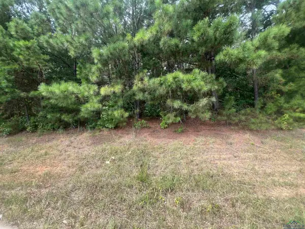 3610 Elysian Fields Avenue, Marshall, TX 75672