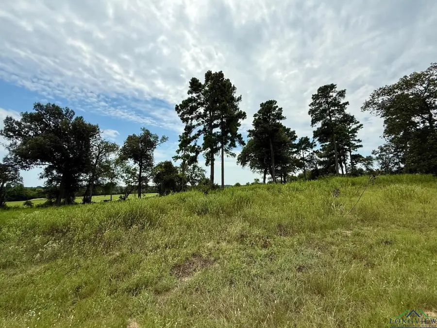 LOT 27 CR 3545, Hawkins, TX 75765 - Image #2