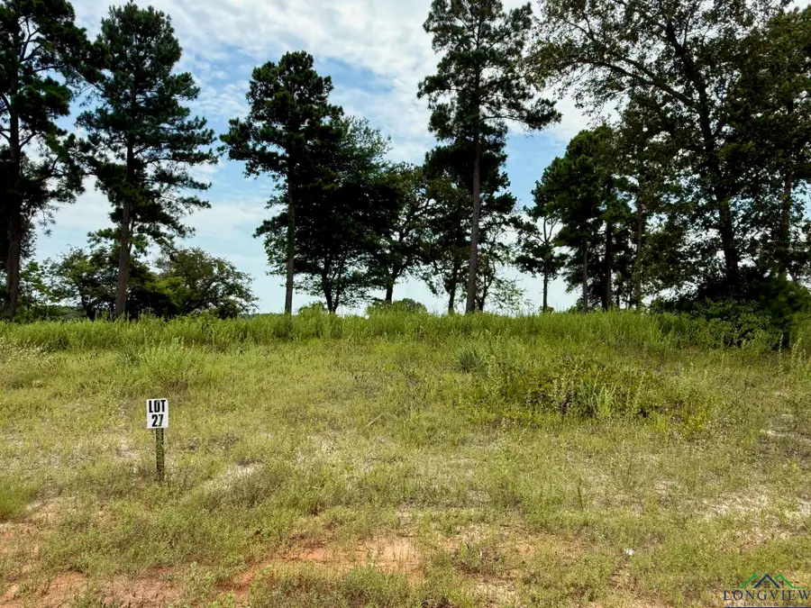 LOT 27 CR 3545, Hawkins, TX 75765 - Image #3
