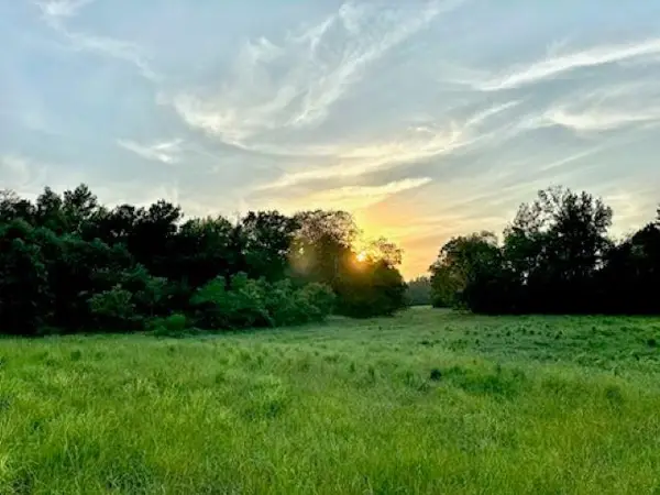 N FM 1002 East, Winnsboro, TX 75494