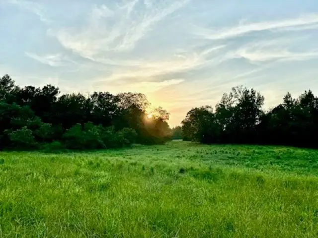 N FM 1002 E, Winnsboro, TX 75494 - Image #1