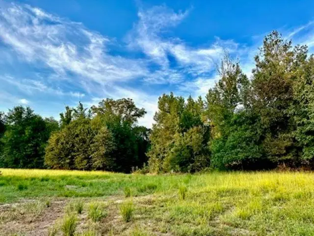 N FM 1002 E, Winnsboro, TX 75494 - Image #2