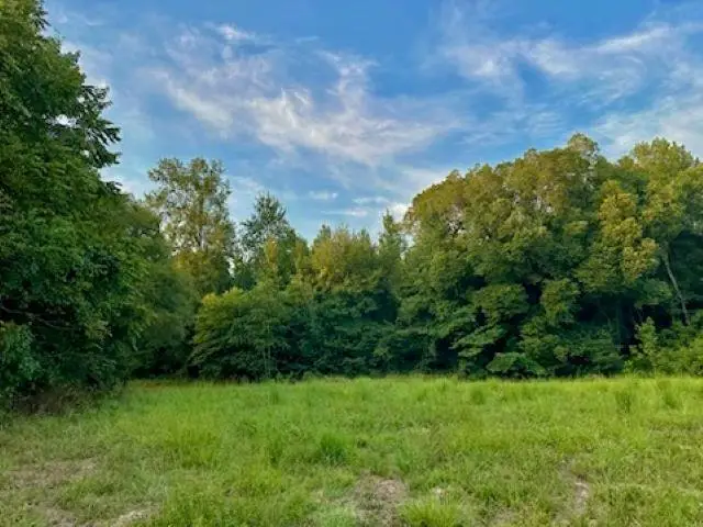 N FM 1002 E, Winnsboro, TX 75494 - Image #3