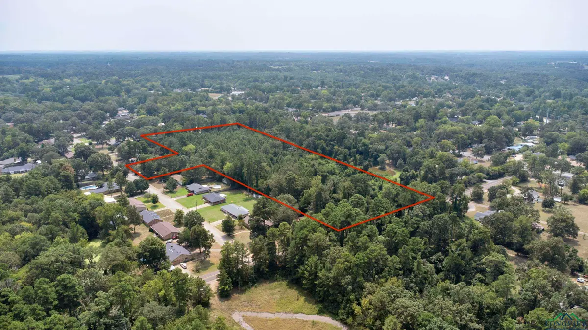 3100 Daville Drive, Kilgore, TX 75662 - Image #1