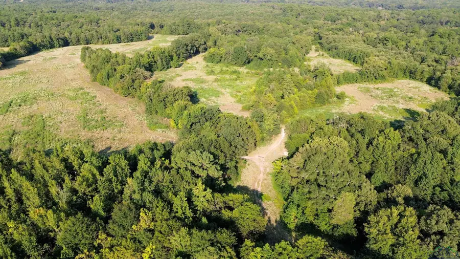 Address Withheld By Seller, Pittsburg, TX 75686 - Image #2