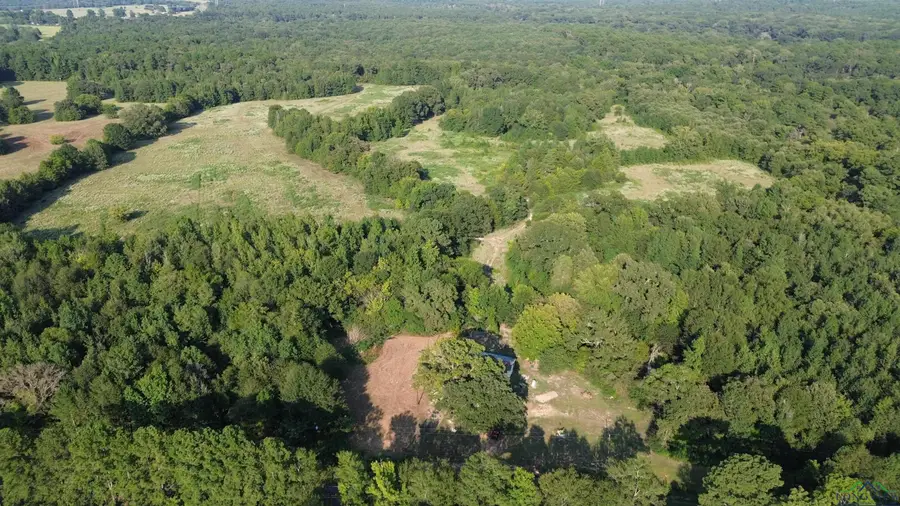 Address Withheld By Seller, Pittsburg, TX 75686 - Image #3