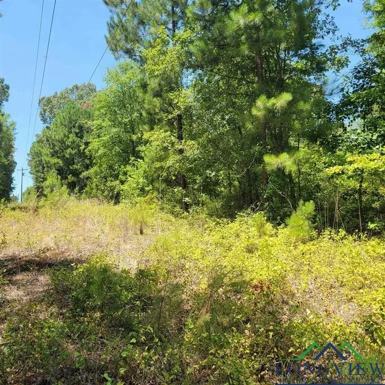 0000 Driskell Bridge RD, Harleton, TX 75651 - Image #3