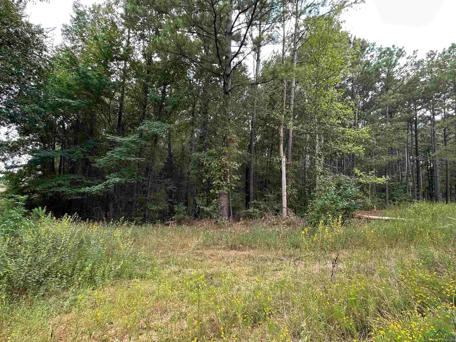 870 CR 1675, Mount Pleasant, TX 75455 - Image #2