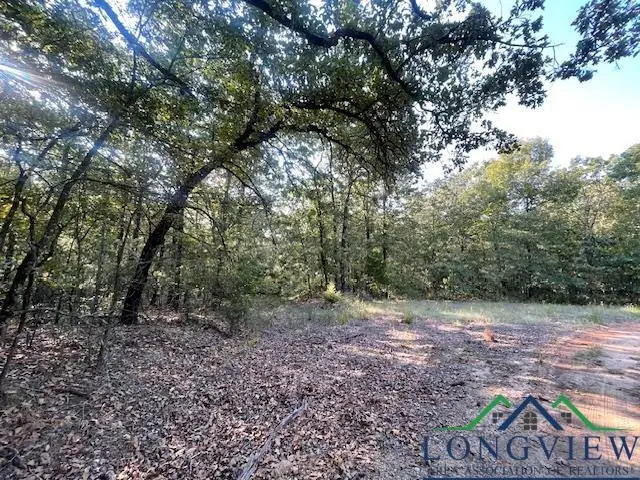 TBD CD 16150, Deport, TX 75435 - Image #2