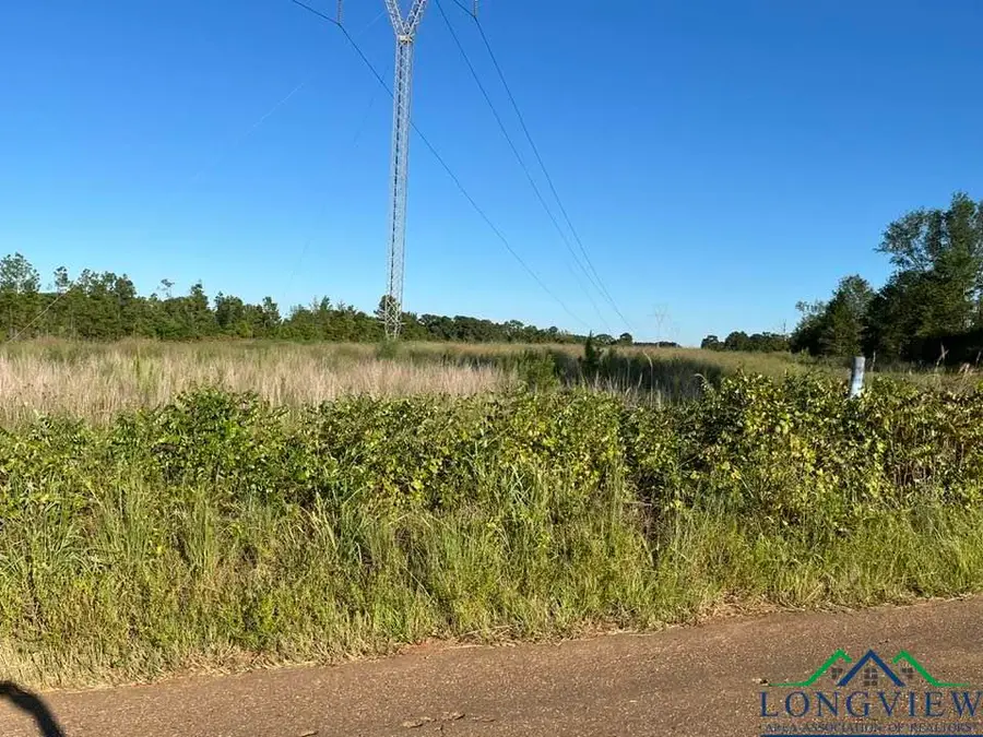 TBD Jewell Gooch Road - 66 acres, Marshall, TX 75670 - Image #3