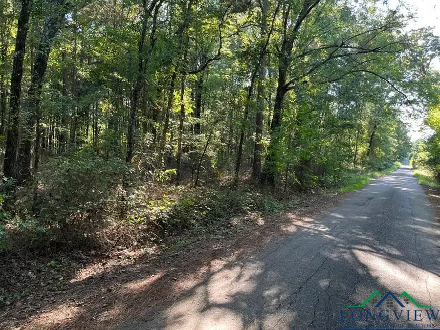 TBD Jewell Gooch Road - 40 acres, Marshall, TX 75670 - Image #3