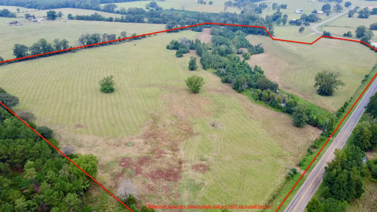 TBD FM 250 N, Naples, TX 75568 - #1