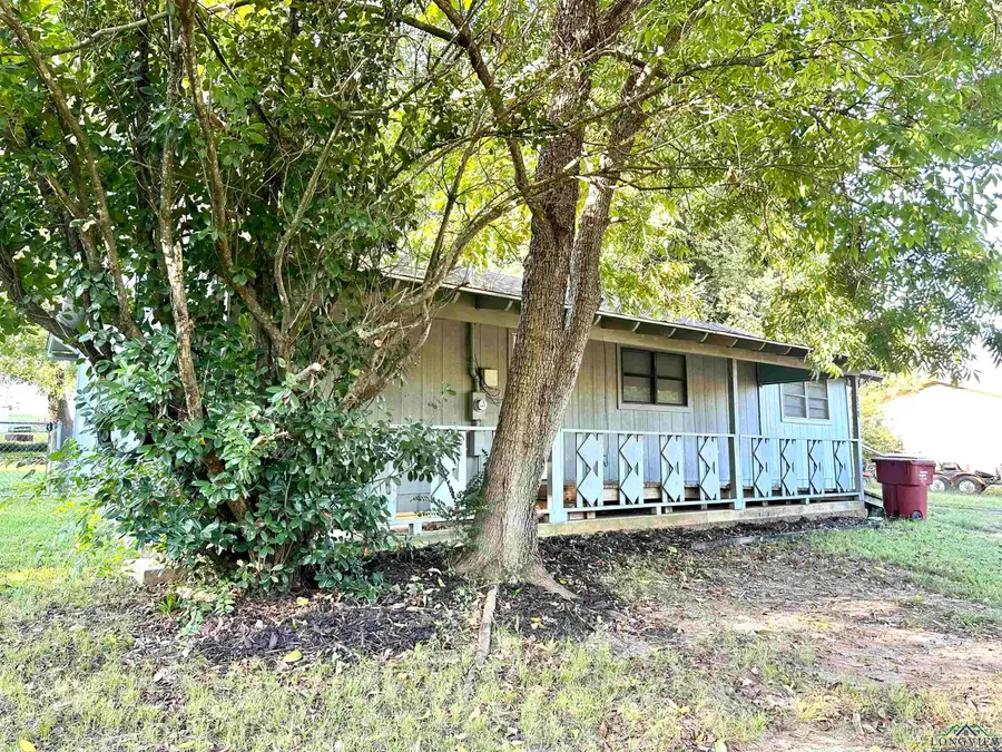 316 Kaufman, Mount Vernon, TX 75457 - Image #2