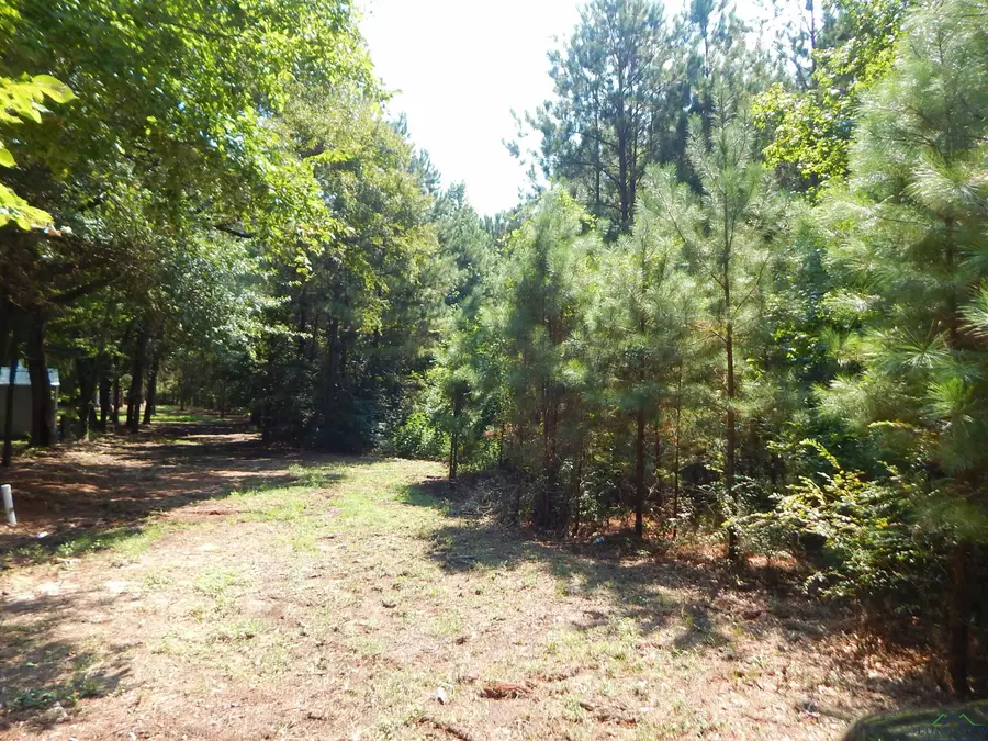 TBD 45 HWY 155, Gilmer, TX 75644 - #2