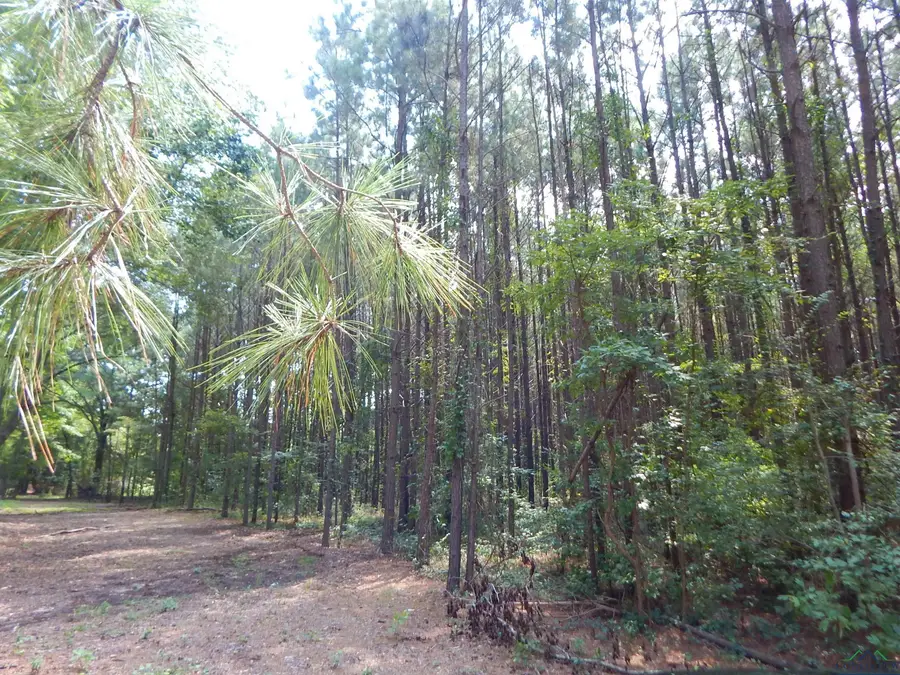 TBD 45 HWY 155, Gilmer, TX 75644 - #3