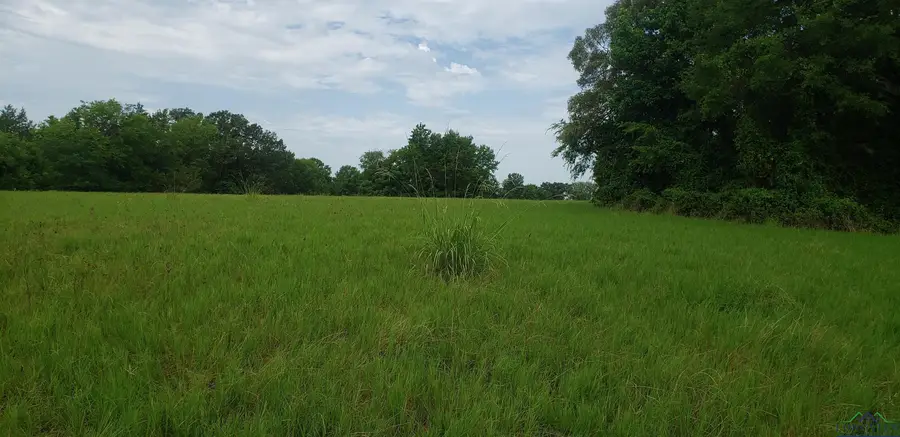 2405 FM 2455, Pittsburg, TX 75686 - Image #3