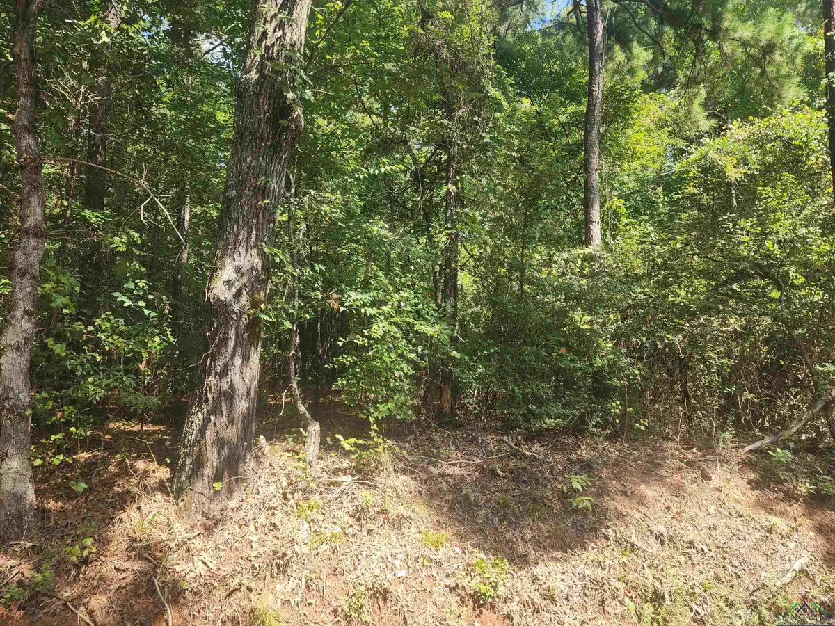 TBD CR 294 E, Kilgore, TX 75662 - Image #1