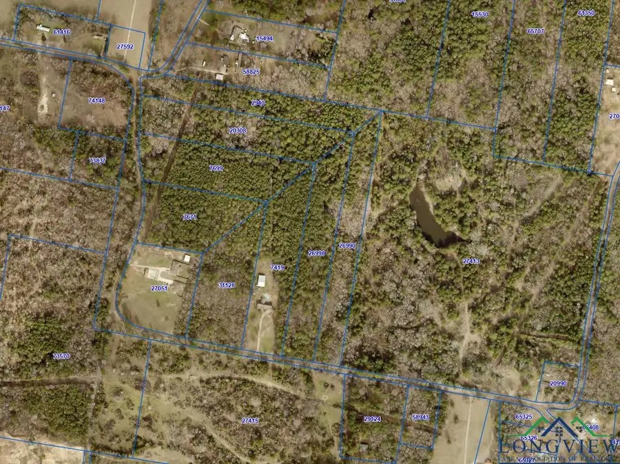 TBD CR 294 E, Kilgore, TX 75662 - Image #2