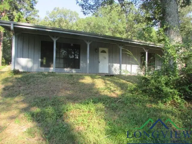 204 Christie Rd, Diana, TX 75640 - Image #1