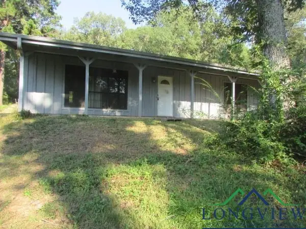 204 Christie Rd, Diana, TX 75640