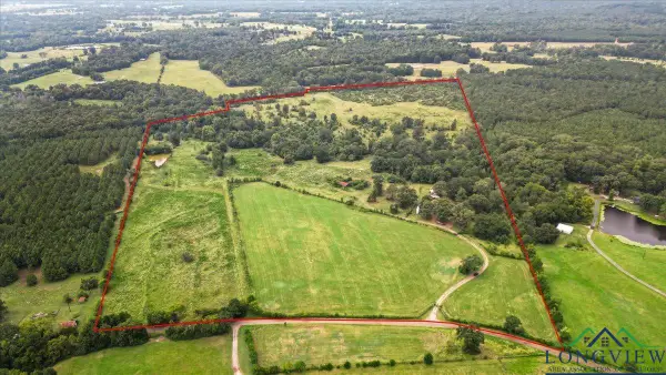 10434 E CR 366, Henderson, TX 75654