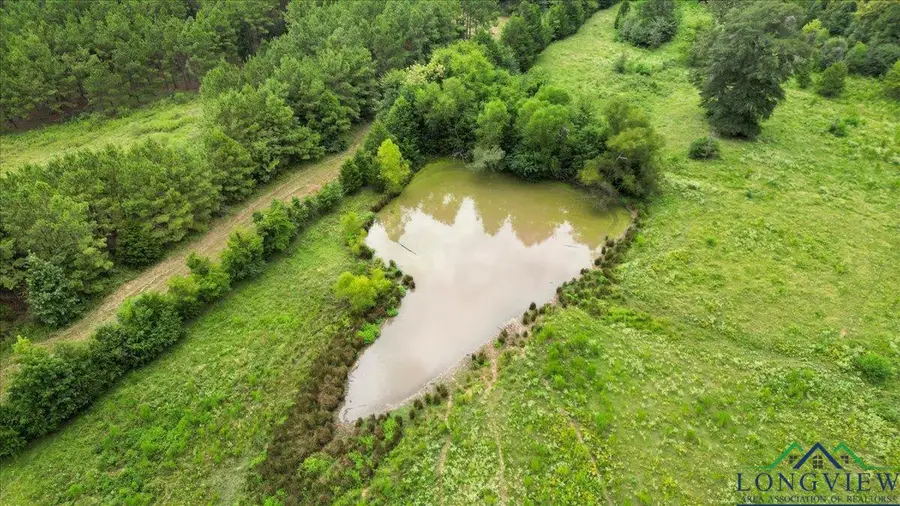 10434 E CR 366, Henderson, TX 75654 - Image #3