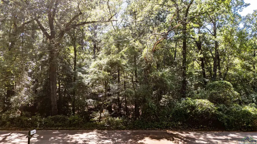 TBD Athens Church Rd, Hallsville, TX 75650 - Image #2