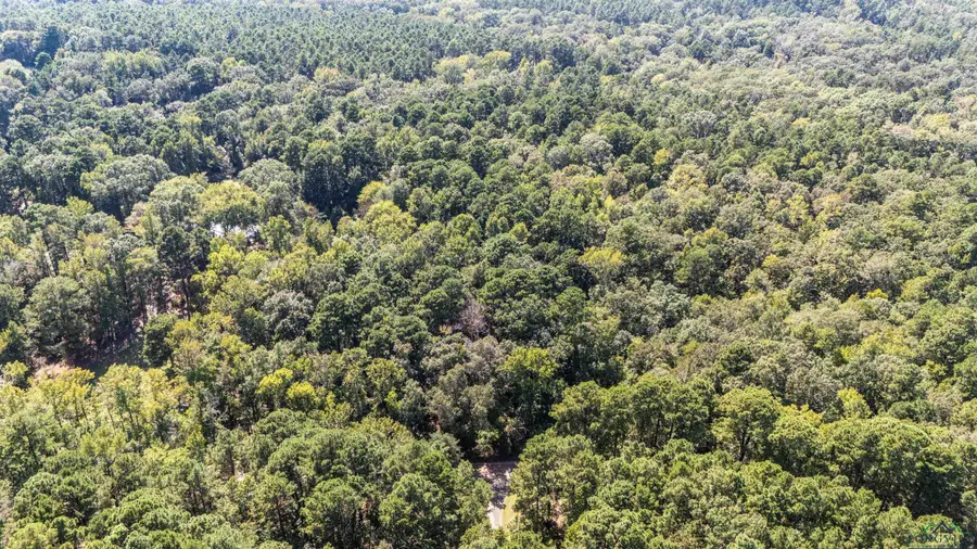 TBD Athens Church Rd, Hallsville, TX 75650 - Image #3