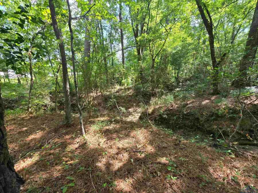 TBD Connie Ln, Waskom, TX 75692 - Image #2