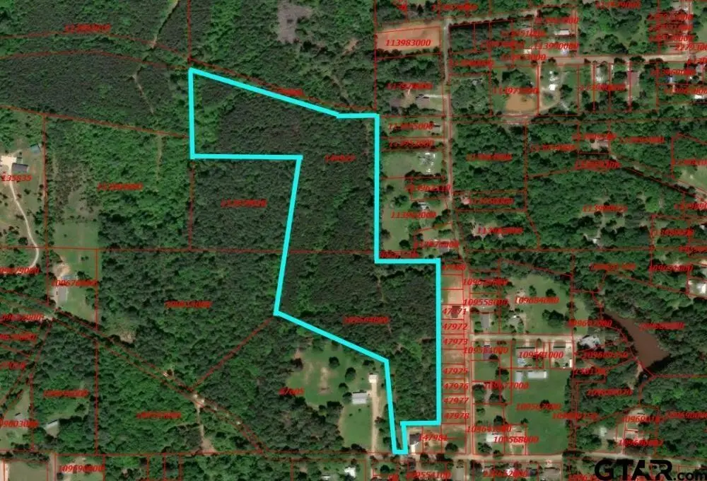 TBD Ellis Street, Rusk, TX 75785 - #1