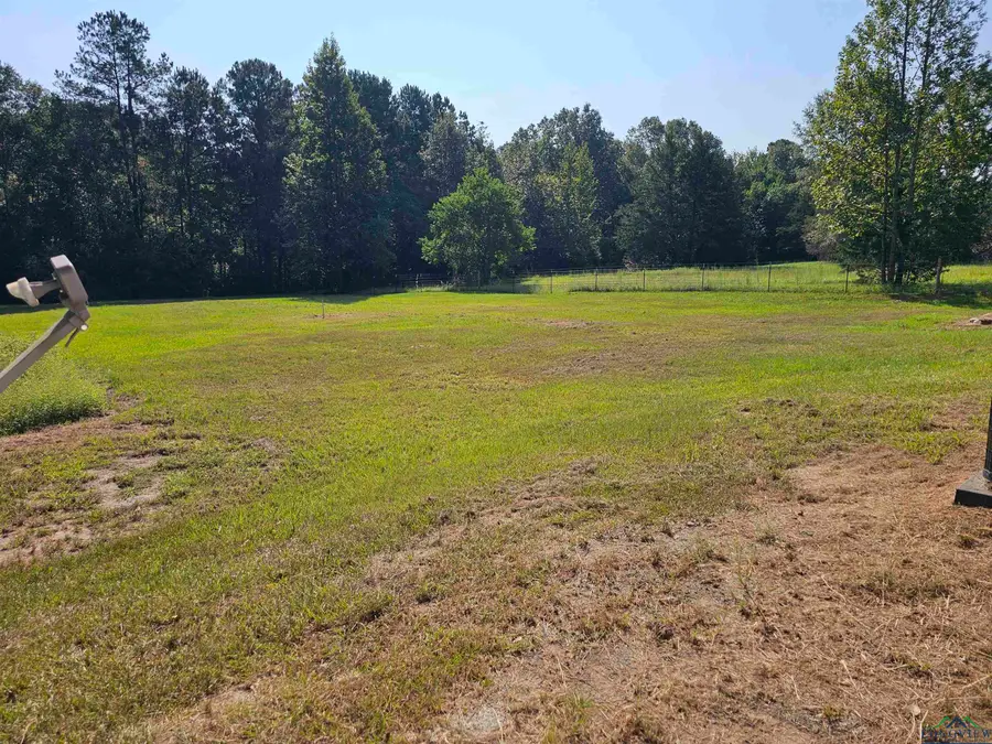 1751 County Road 3801, Joaquin, TX 75954 - Image #3